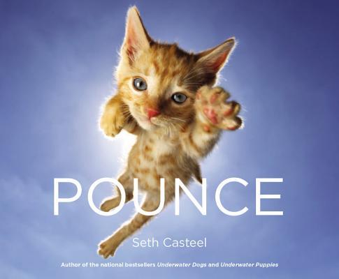 Book cover of Pounce by Seth Casteel