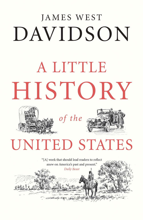 Book cover of A Little History of the United States by James West Davidson