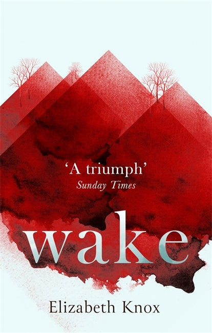 Book cover of Wake by Elizabeth Knox