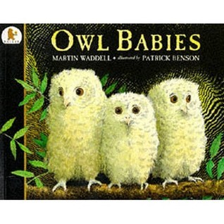Book cover of Owl Babies by Waddell Martin