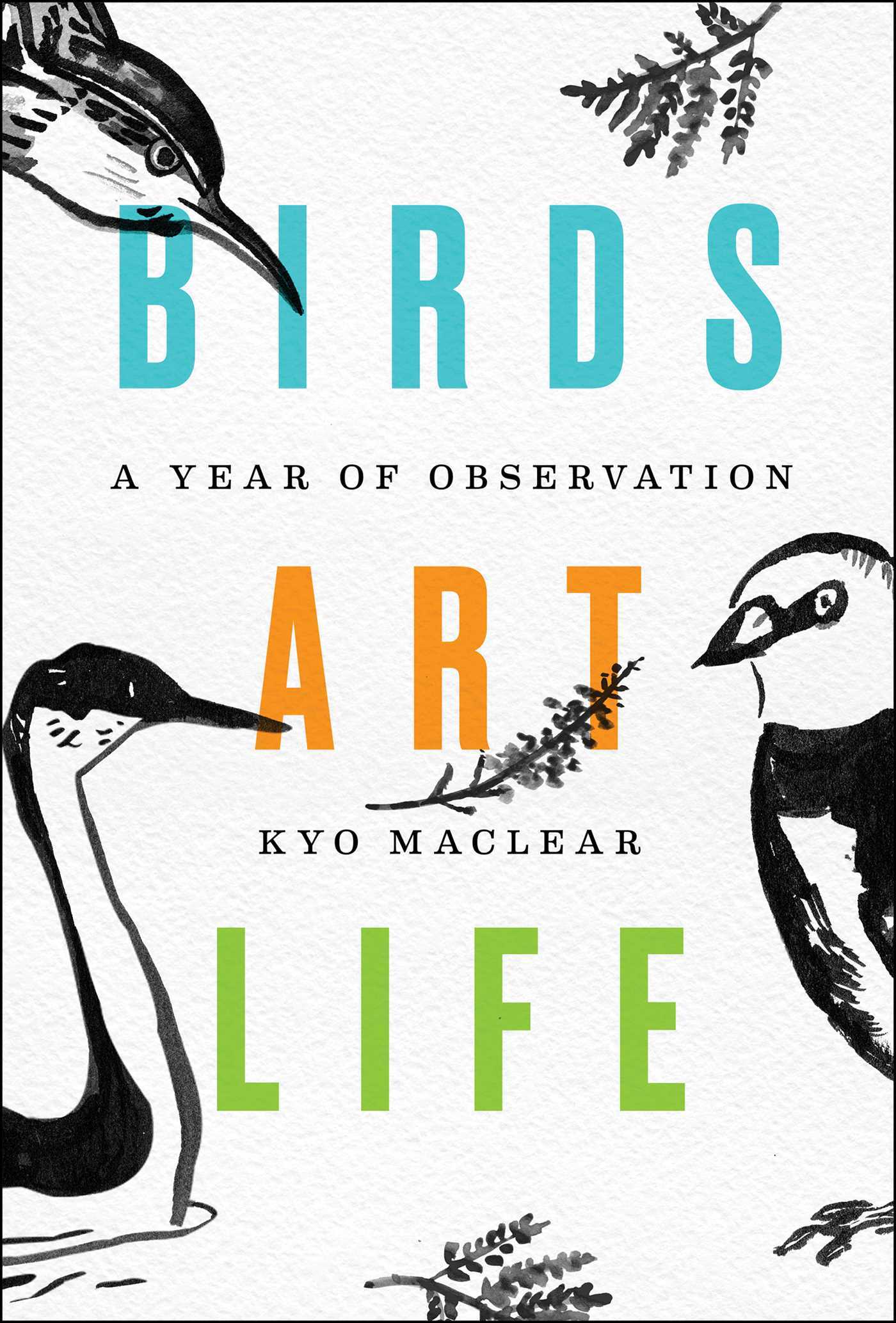Book cover of Birds Art Life: A Year of Observation by Kyo Maclear