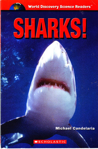 Book cover of Sharks! by Michael Canderlaria