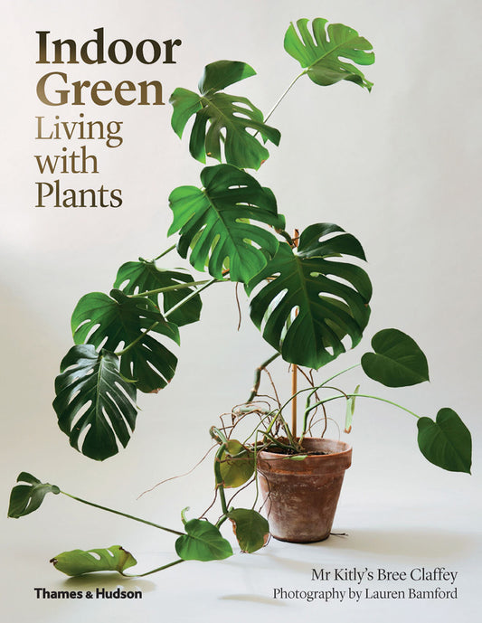 Book cover of Indoor Green: Living With Plants by Bree Claffey