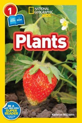 Book cover of Plants by Kathryn          Williams