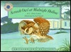 Book cover of Screech Owl At Midnight Hollow by C. Drew Lamm, Joel Snyder (Illus.)