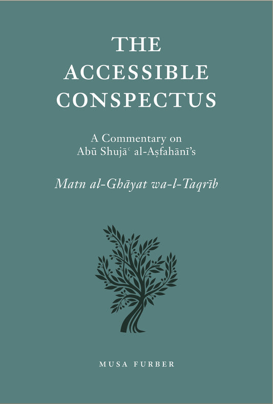 Book cover of The Accessible Conspectus by Musa Furber