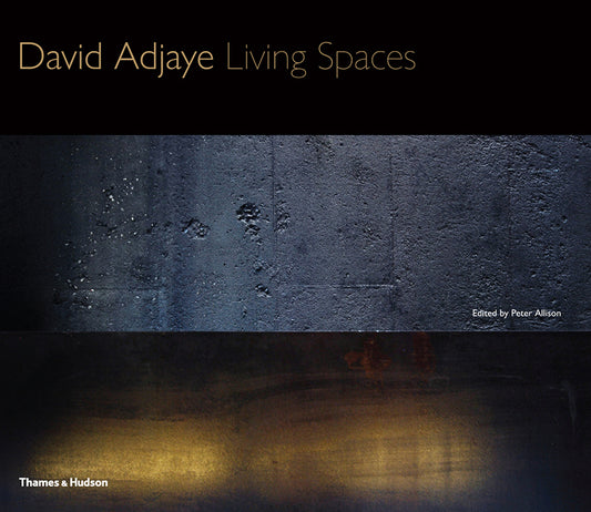 Book cover of David Adjaye: Living Spaces by David Adjaye, Peter Allison (Ed.)