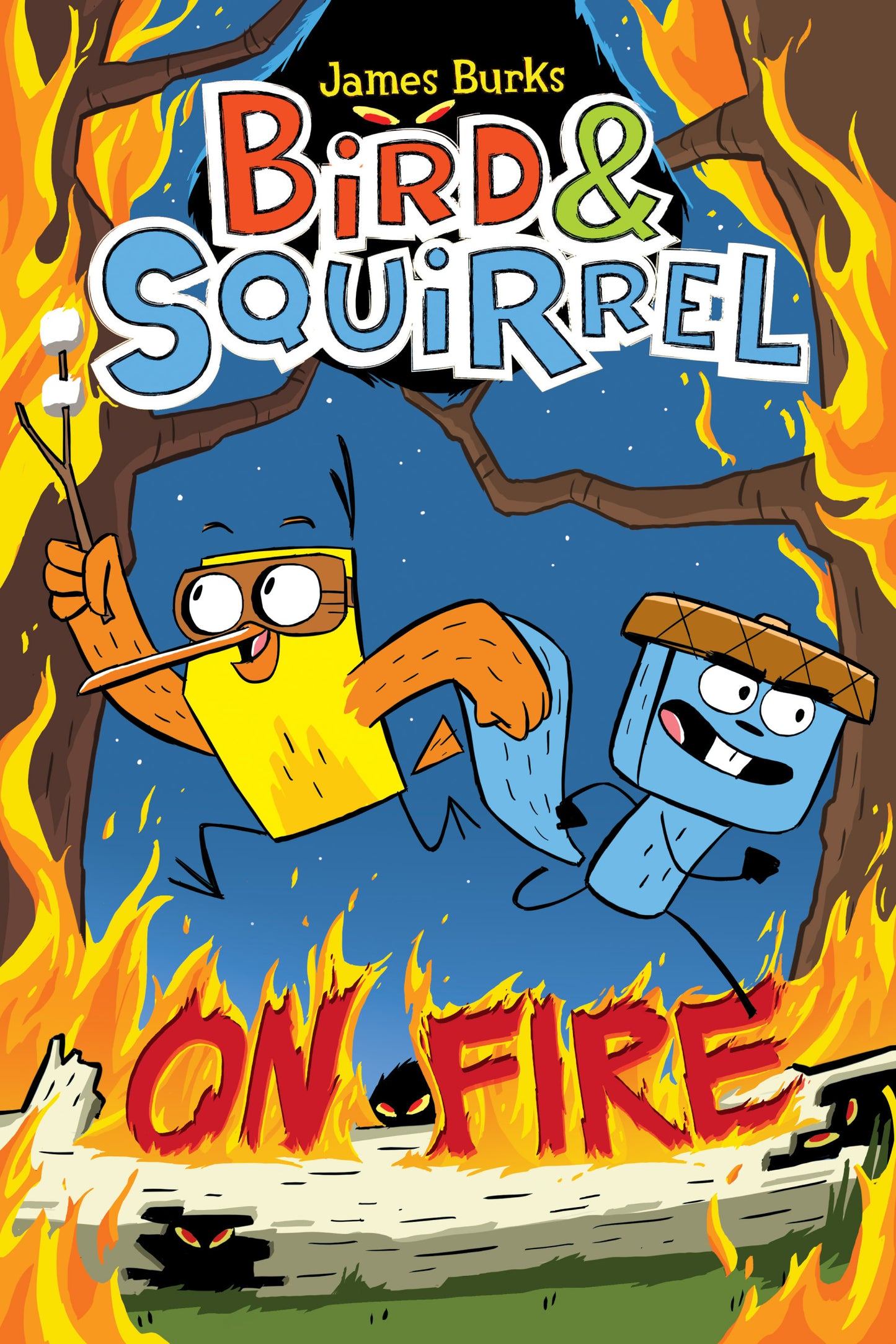 Book cover of Bird & Squirrel On Fire by James Burks