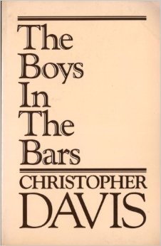Book cover of The Boys in the Bars by Christopher  Davis