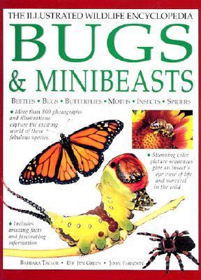 Book cover of Bugs And Minibeasts by Barbara Taylor