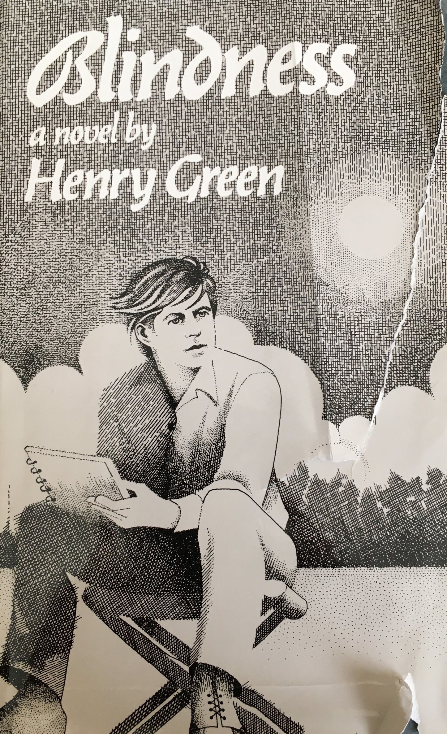 Book cover of Blindness by Henry Green