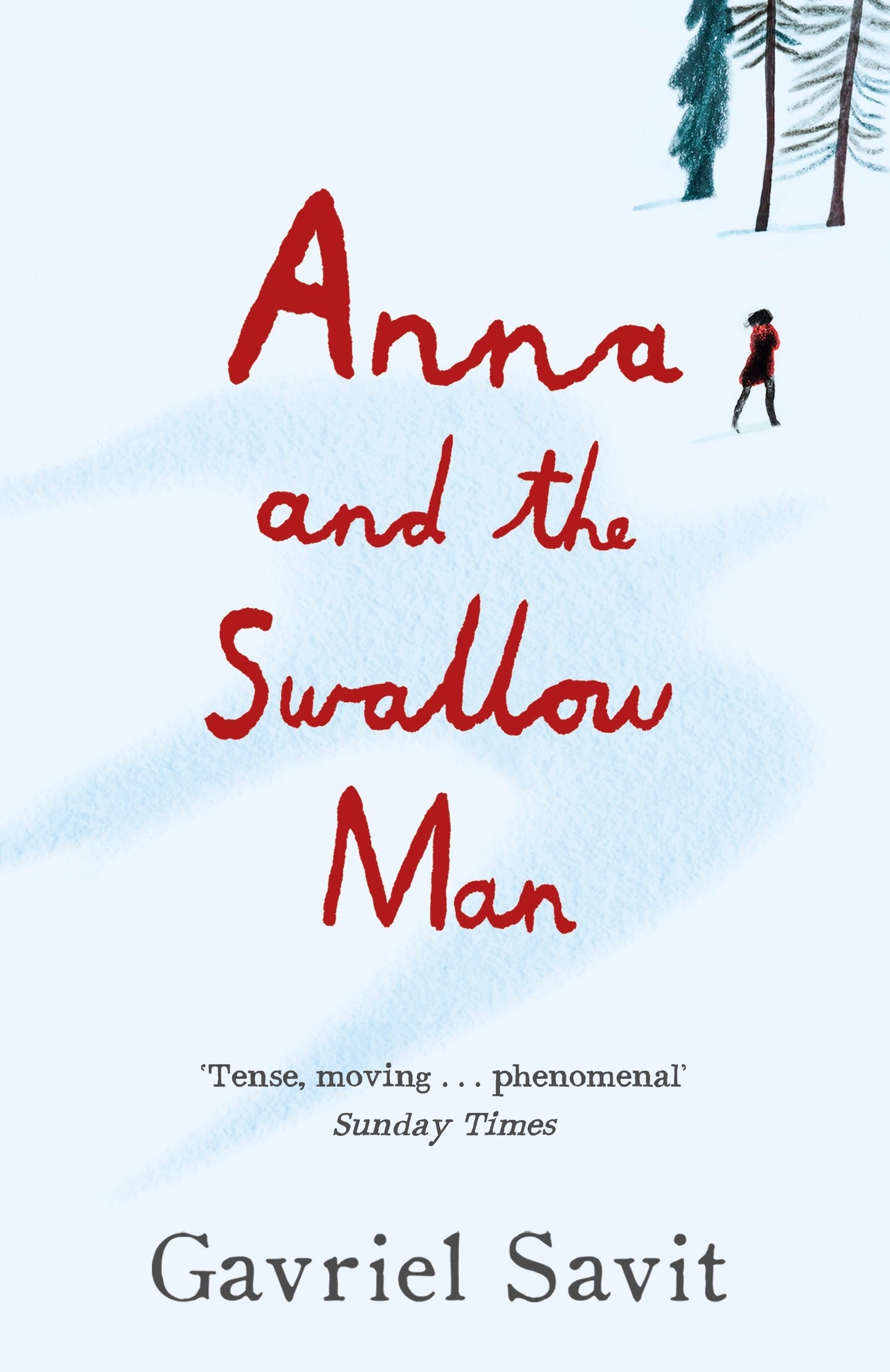 Book cover of Anna And The Swallow Man by Savit Gavriel