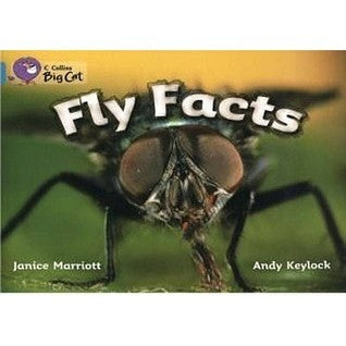 Book cover of Fly Facts: Band 07/Turquoise by Janice Marriott, Andy Keylock (Illus.)