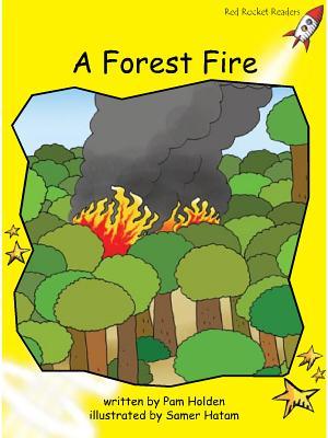 Book cover of A Forest Fire by Pam Holden, Samer Hatam (Illus.)