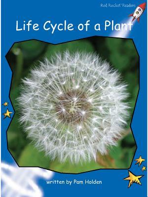Book cover of Life Cycle Of A Plant by Pam Holden