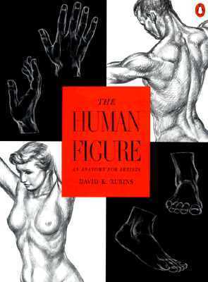 Book cover of The Human Figure: An Anatomy For Artists by David K. Rubins