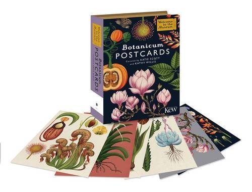 Book cover of Botanicum Postcards by Katie Scott (Illus.), Kathy Willis (Illus.)