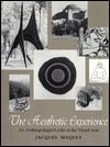 Book cover of The Aesthetic Experience: An Anthropologist Looks at the Visual Arts by Jacques Maquet