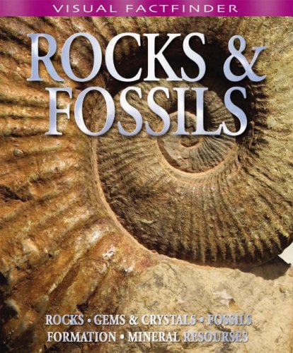 Book cover of Visual Factfinder - Rocks And Fossils by Belinda Gallagher