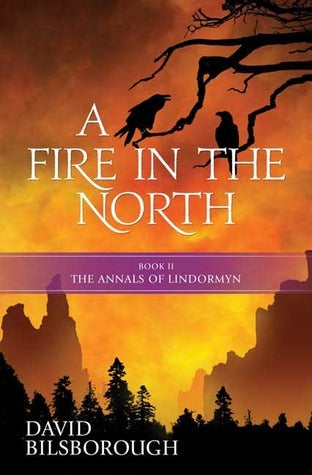 Book cover of A Fire in the North by David Bilsborough