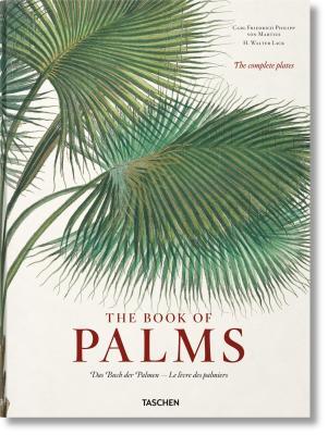 Book cover of The Book Of Palms / Das Buch Der Palmen / Le Livre Des Palmiers by H. Walter Lack