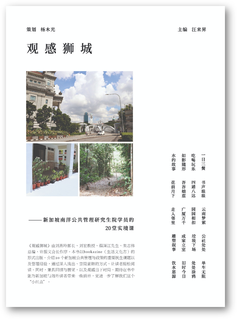 Book cover of 觀感獅城——新加坡南洋公共管理研究生院學員的20堂實境課 by 汪來昇