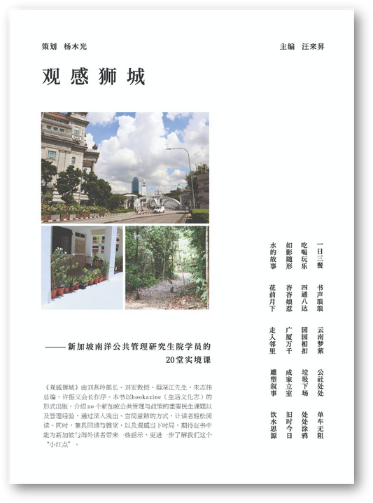 Book cover of 觀感獅城——新加坡南洋公共管理研究生院學員的20堂實境課 by 汪來昇