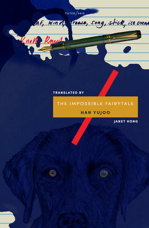 Book cover of The Impossible Fairy Tale by Han Yujoo, Janet Hong (Trans.)