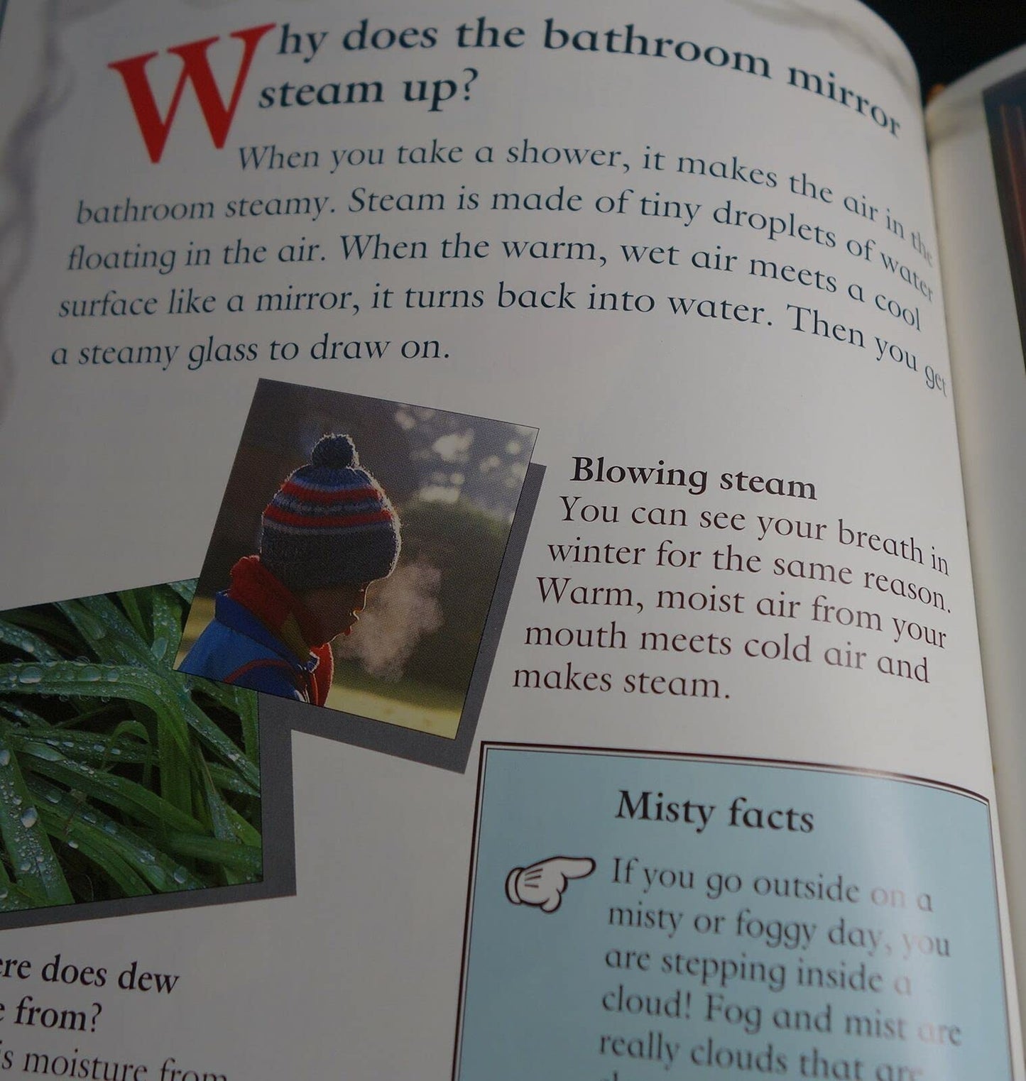 Book cover of Can You Really Fry an Egg on a Stone? by Alexandra Parsons