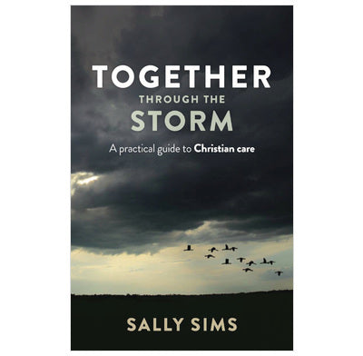 Book cover of Together Through The Storm by Sally Sims