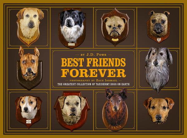 Book cover of Best Friends Forever: The Greatest Collection Of Taxidermy Dogs On Earth by J.D Powe