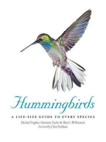Book cover of Hummingbirds: A Life-Size Guide to Every Species by FOGDEN/TAYLOR