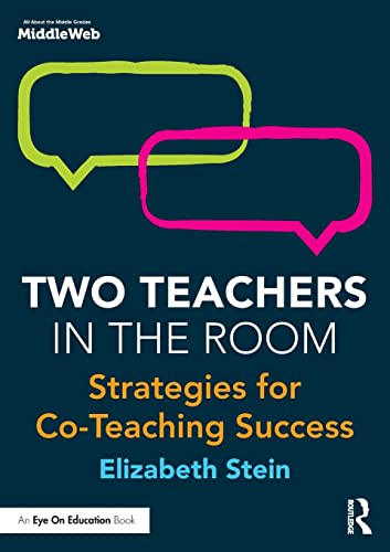 Book cover of Two Teachers In The Room by Elizabeth Stein