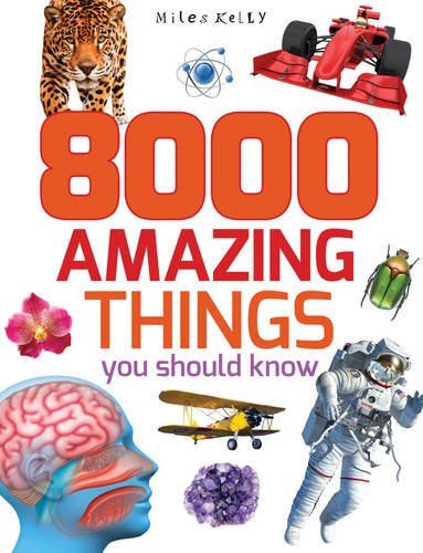 Book cover of 8000 Amazing Things You Should Know by Miles Kelly Publishing