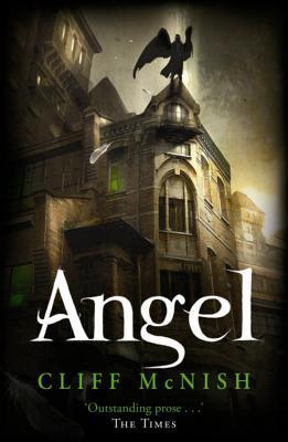 Book cover of Angel by Cliff McNish