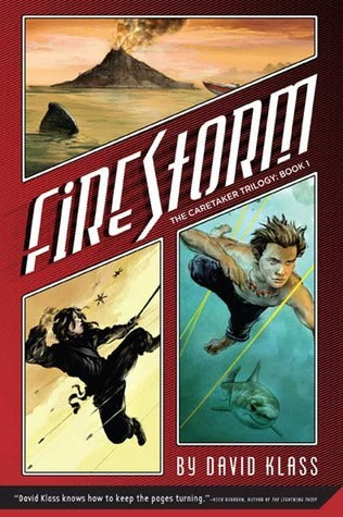 Book cover of Firestorm by David Klass