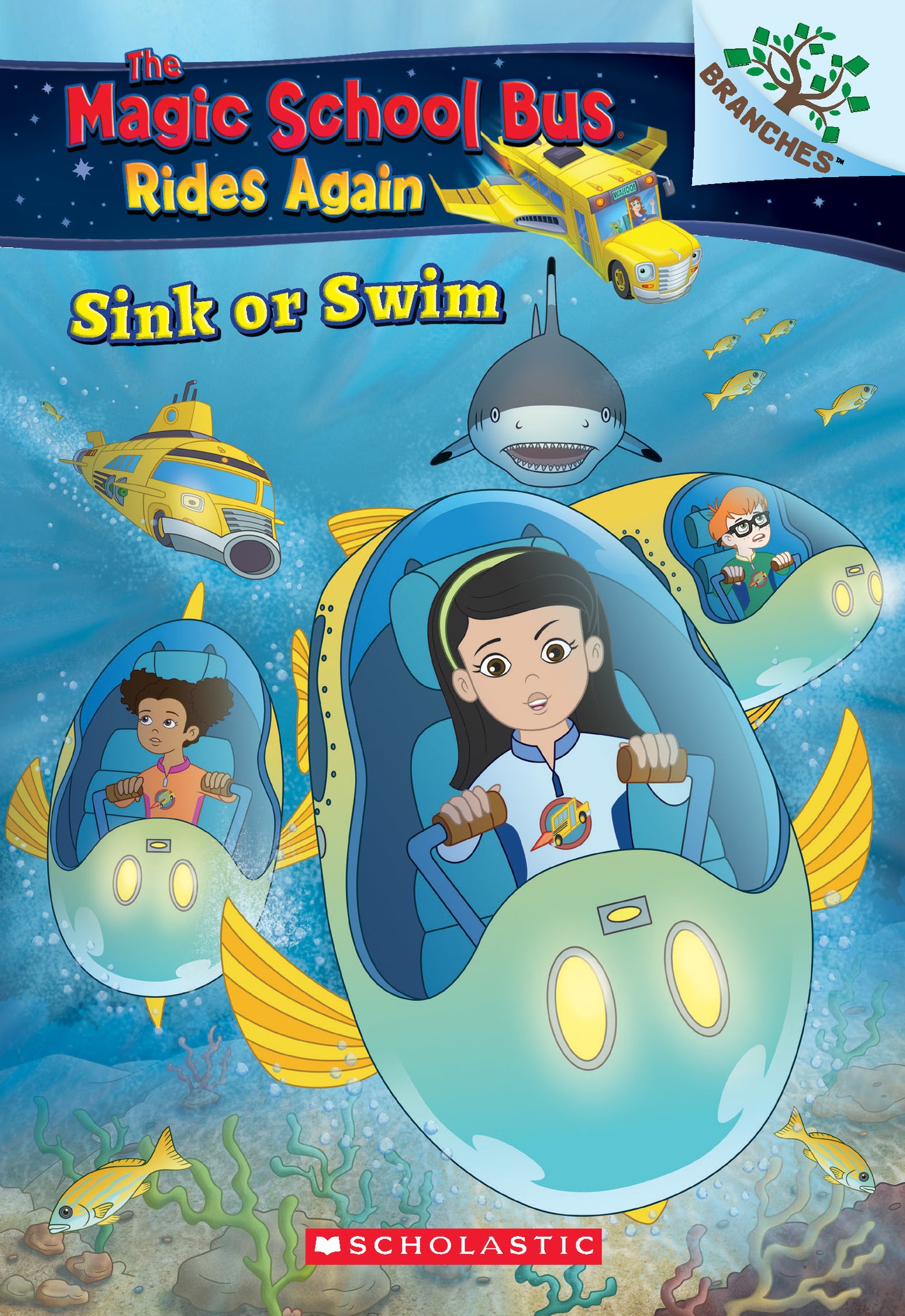 Book cover of Sink Or Swim: Exploring Schools Of Fish: A Branches Book by Judy Katschke, Artful Doodlers Ltd. (Illus.)