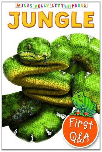 Book cover of Jungle by Gallagher Belinda