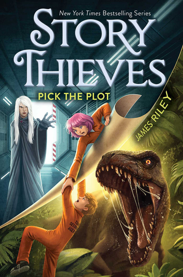 Book cover of Pick The Plot (4) by James  Riley
