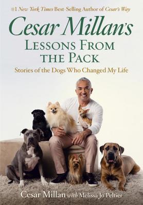 Book cover of Cesar Millan's Lessons From the Pack: Stories of the Dogs Who Changed My Life by Cesar Millan
