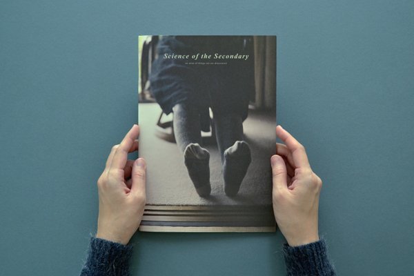 Book cover of Science Of The Secondary: Socks by HOKO