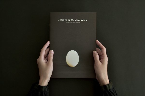 Book cover of Science Of The Secondary: Egg by HOKO