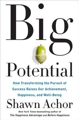 Book cover of Big Potential: How Transforming The Pursuit Of Success Raises Our Achievement, Happiness, And Well-Being by Shawn Achor