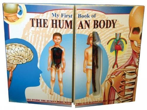 Book cover of My First Book Of The Human Body by John H.R. Brook