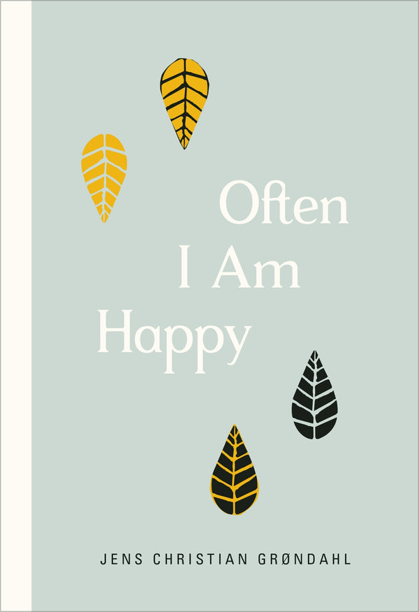 Book cover of Often I Am Happy by Jens Christian Grøndahl
