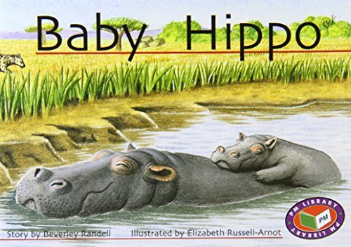 Book cover of Baby Hippo by Beverley Randell