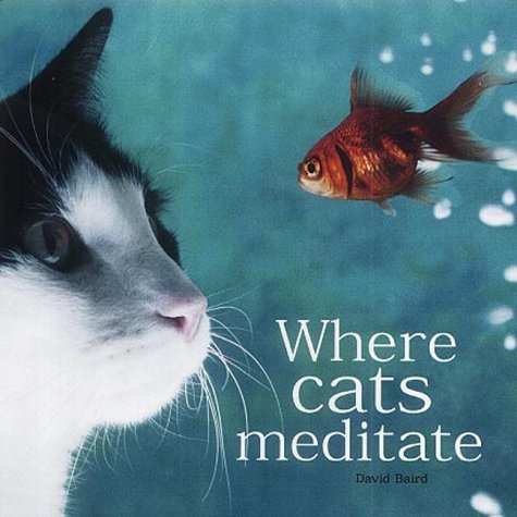 Book cover of Where Cats Meditate by David Baird (Ed.)