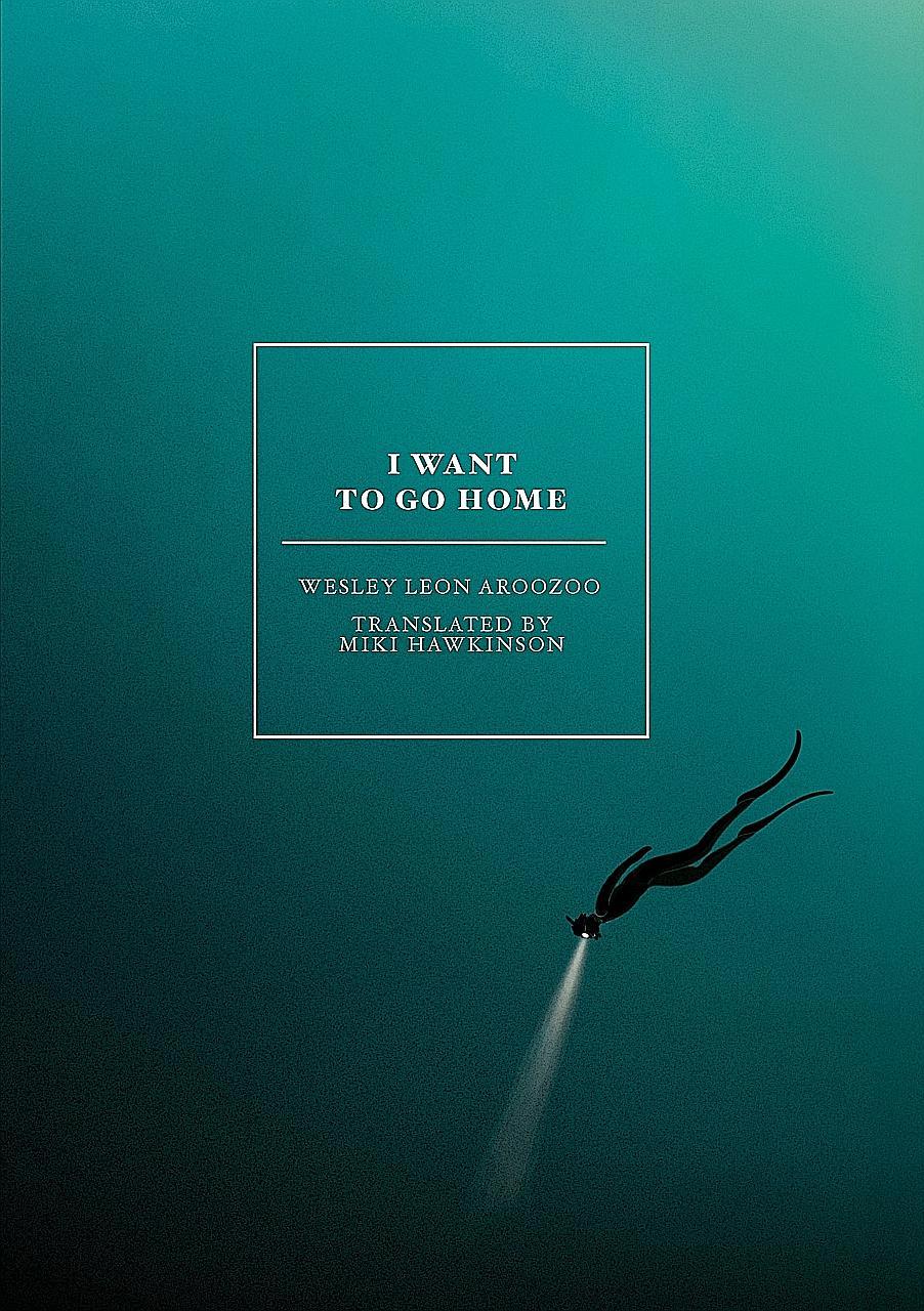 Book cover of I Want To Go Home by Wesley Leon Aroozoo