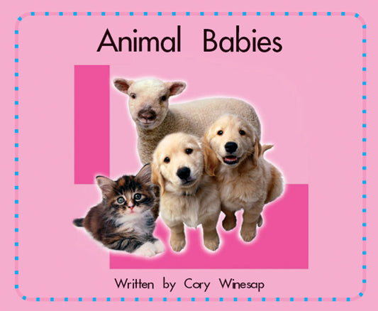 Book cover of Animal Babies by Cory Winesap