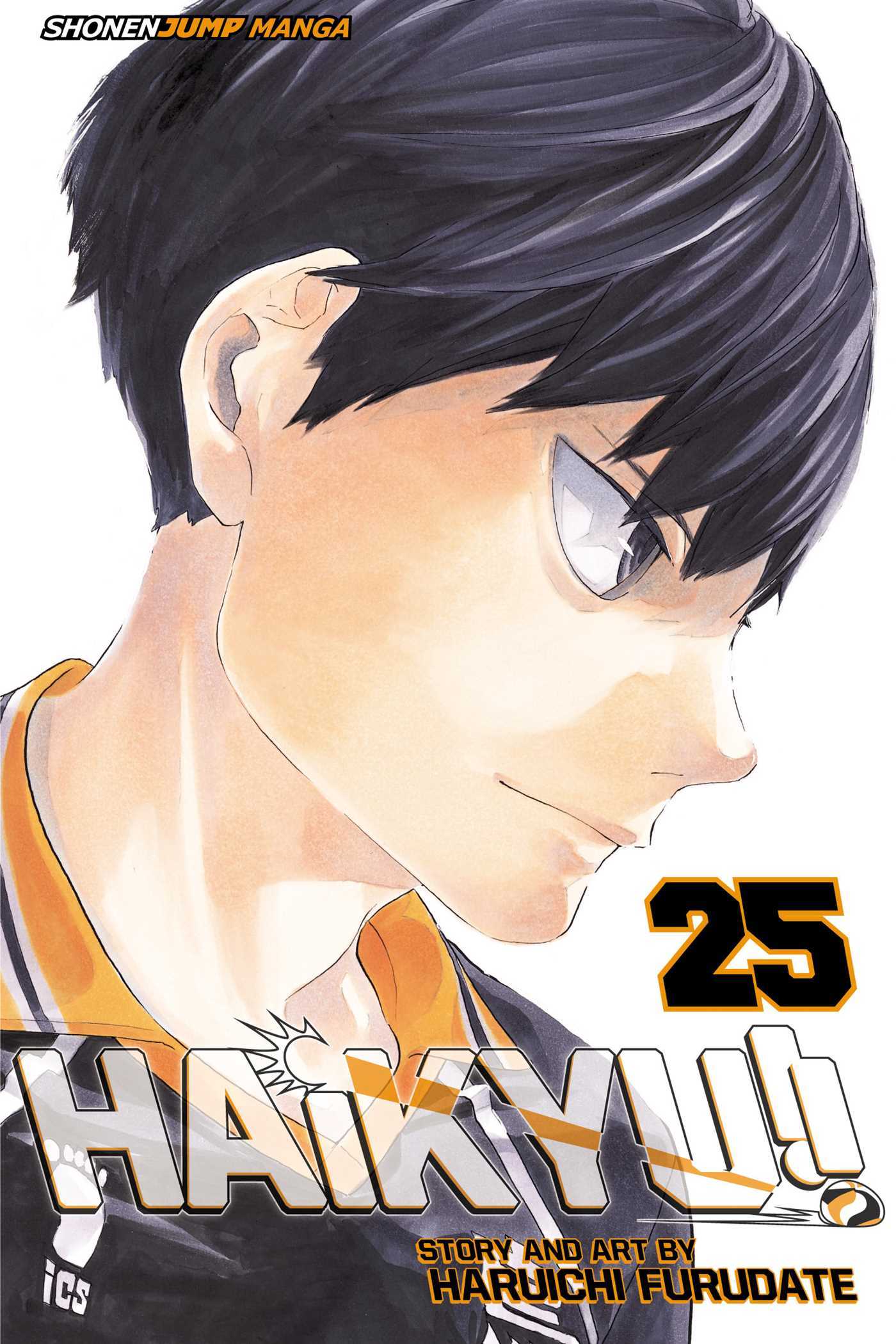 Book cover of Haikyu!!, Vol. 25 by Haruichi Furudate